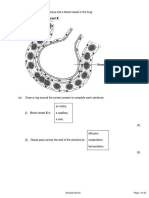 Set 1 Cell Biology Grades 1 3