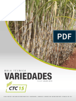 Melhor desempenho da variedade CTC15 em relação ao padrão RB867515