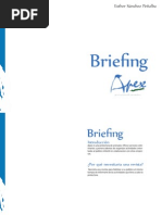briefing y naming