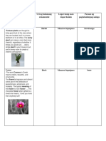 Bianca's Folder Types of Flowers