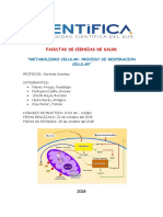 Informe de Laboratorio Metabolismo Celular