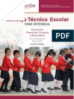 cte FASE INTENSIVA 2019.docx