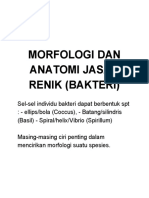 17-9-2019. MORFOLOGI DAN ANATOMI JASAD RENIK Bakteri (Kuliah 2) PDF