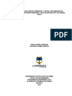 Evaluación Del Riesgo Ambiental y Social Por Amenaza de Explotación de Hidrocarburos Caso de Estudio Rio Las Ceibas, Huila