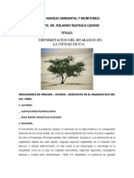 Deforestacion Del Huarango