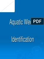 Aquatic Weed Identification.pdf