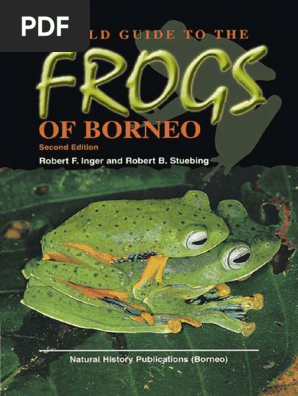 A Field Guide To The Frogs Of Borneo Pdf Pdf Frog Borneo