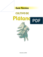 Platano (1).pdf