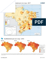 Brasil - População, Cor e Raça