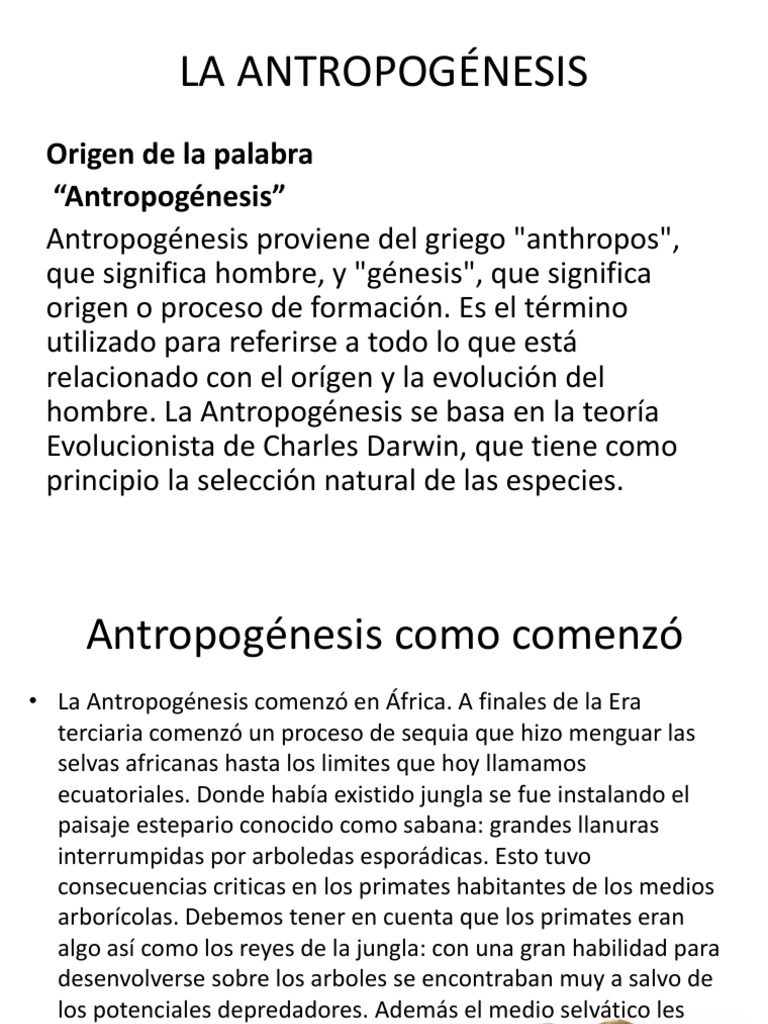 Origen y evolución de la antropogénesis | PDF | Selva | Homo Sapiens