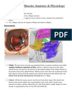 Extraocular Muscle Anatomy and Physiology Notes