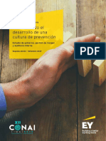 Promoviendo La Cultura de Prevención de Riesgos en El Perú