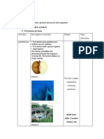 Rpp Chemistry Corosion