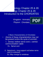 CHORDATES and Vertebrates