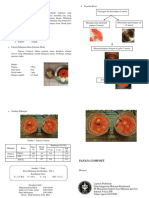 Leaflet Papaya Compote