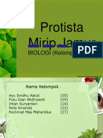 Presentasi Protista Mirip Jamur