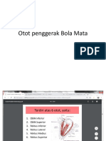 Otot Penggerak Bola Mata