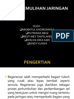 pemulihan jaringan