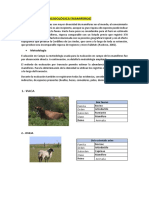 Evaluación mastozoológica Perú