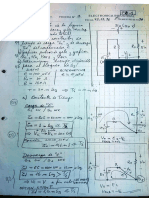 Pep3 Flores