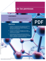 Pentosas PDF
