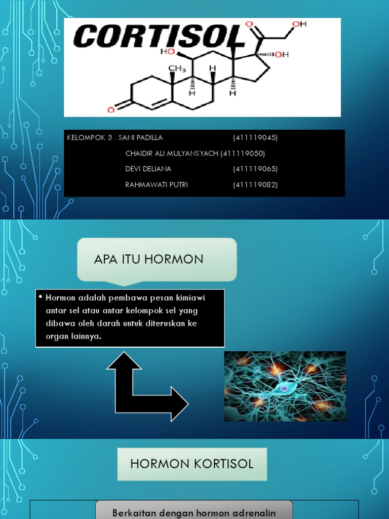 Fungsi dan Pemeriksaan Hormon Kortisol | PDF