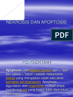 Nekrosis Dan Apoptosis-1