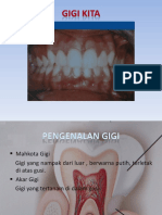 Presentasi Gigi