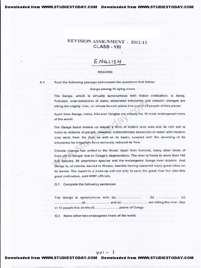 Class VIII English Revision Worksheet 2013 | PDF