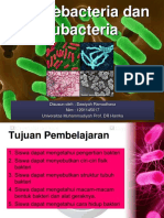 Archae and Eubacteria