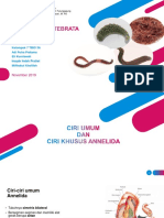 k7 Annelida PDF