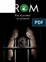 33. the 'Success' of Prisons