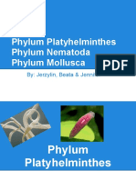 Phylum Platyhelminthes Phylum Nematoda Phylum Mollusca