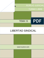 Tema 15 Libertad Sindical