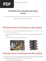 EXTRUSAO ROSCA DUPLA