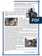 ARTICULO PERIODISTICO PSICOLOGIA L  HOGAR DE PONY.pdf