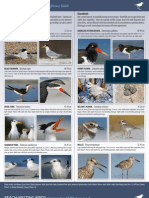 Beach Nesting Birds Reference Guide