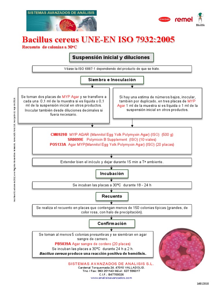 Bacillus Cereus ISO 7932 - 2005 PDF | PDF | Naturaleza