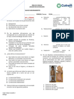 Examen Mejoramiento B 9° 3P