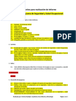 Instructivo para realización de Informe Proyecto Programa SSO