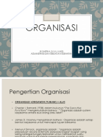 Organisasi