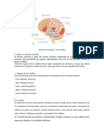 Sistemas Sensoriales - Los Sentidos