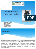 Comunicação Interventricular