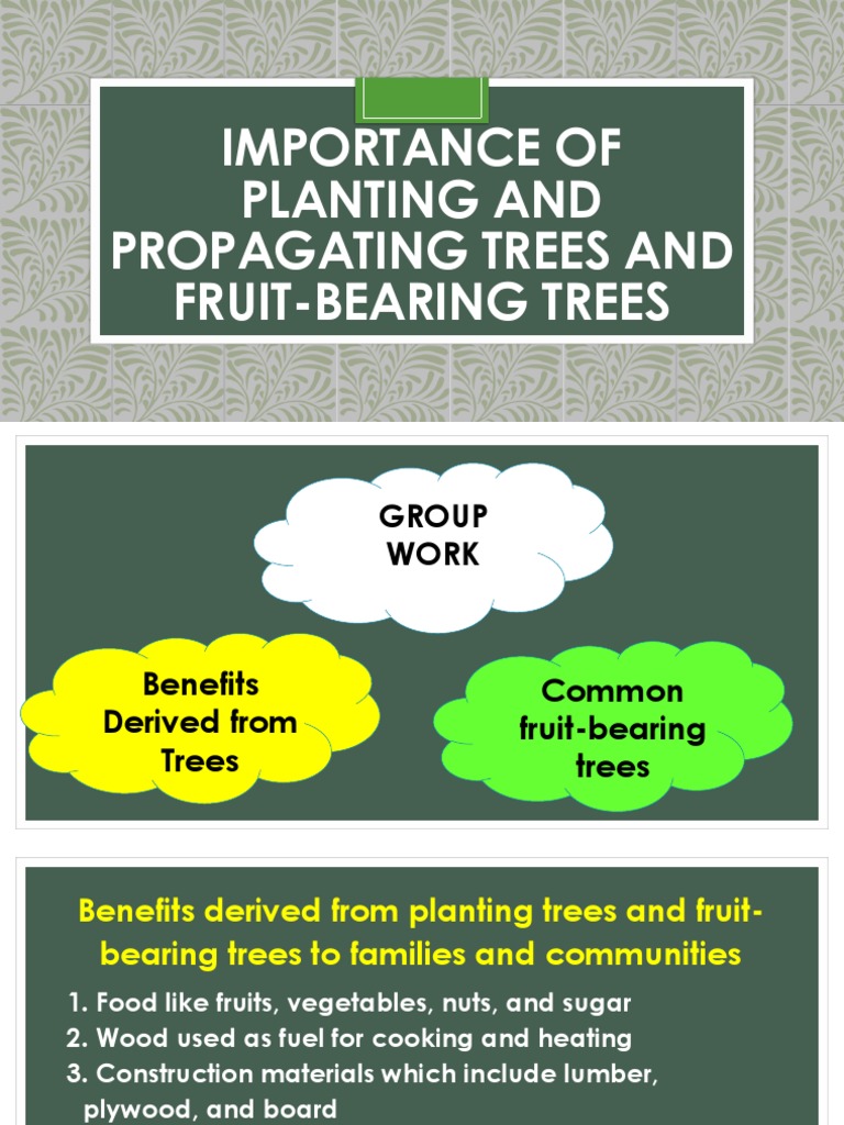 Importance of Planting and Propagating Trees and Fruitbearing [Autosaved] Trees Plants