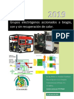 Grupos electrógenos accionados  biogás, con y sin recuperación de calor - ( 20-01-2019).pdf