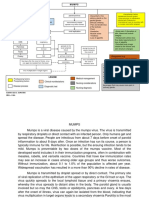 Concept Map - Mumps