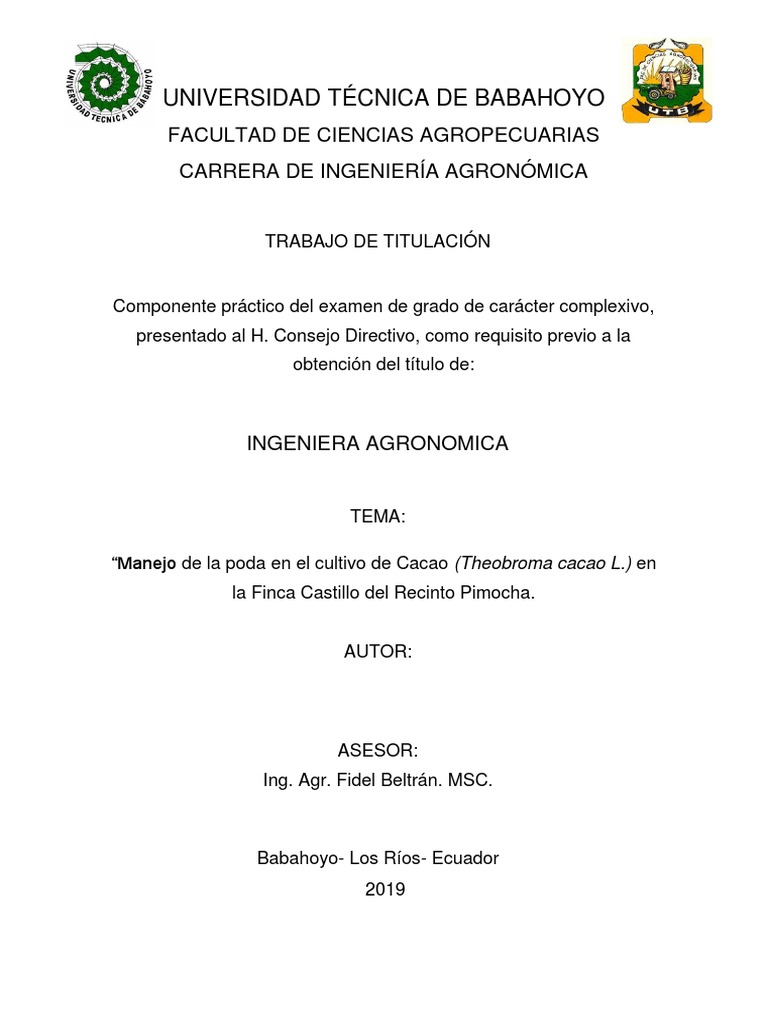Manejo De Poda En Cacao En Ecuador Pdf Agricultura Ecuador