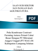 Kemitraan Agribisnis Cabai di Lampung Selatan