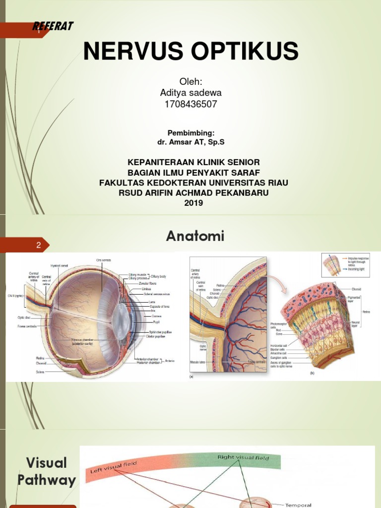 N. Optikus | PDF