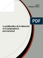 La Problemática de La Detención en La Jurisprudencia